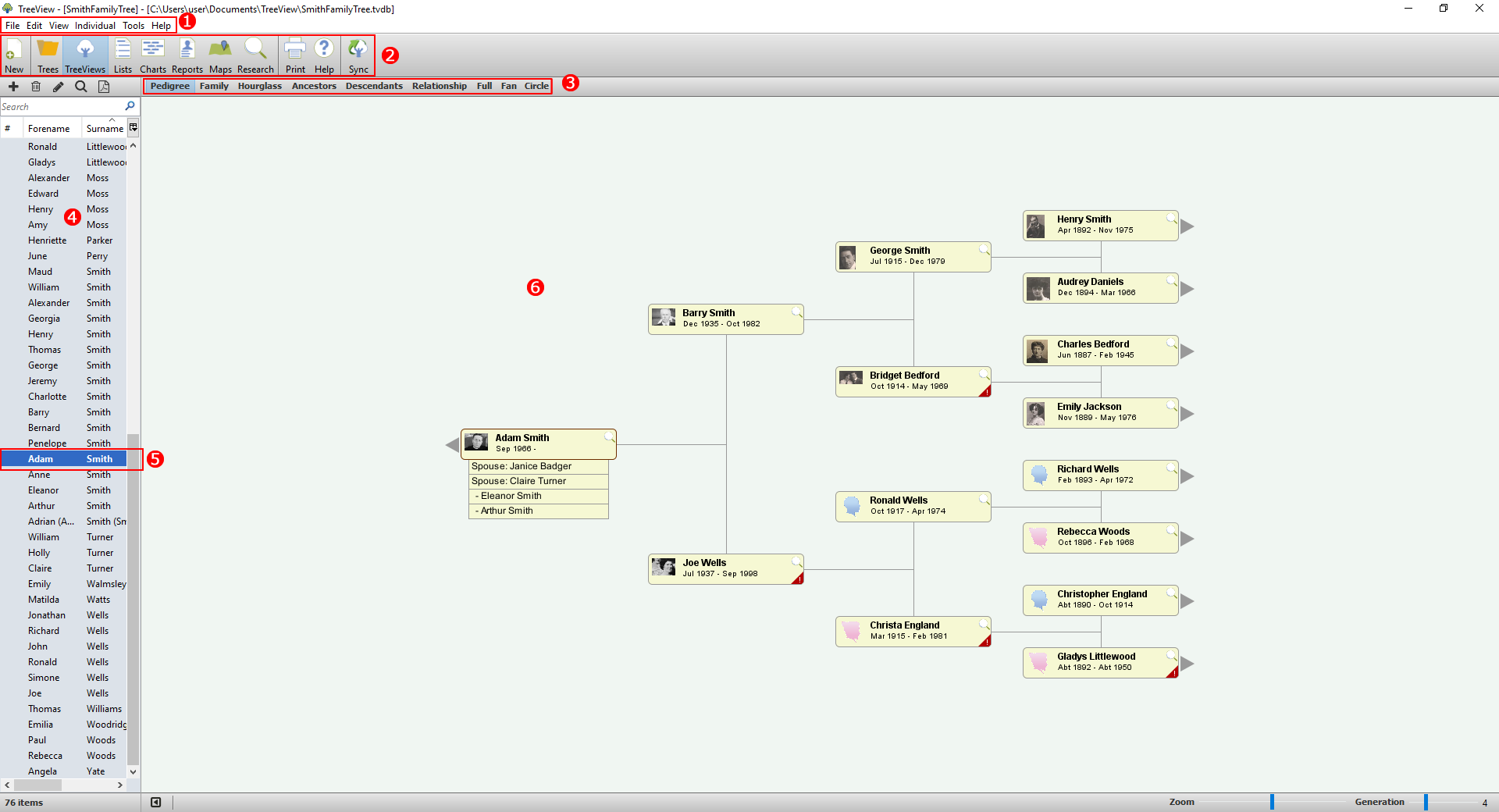 TREEVIEW программа. Windows forms TREEVIEW. ЭУ TREEVIEW. Python TREEVIEW.